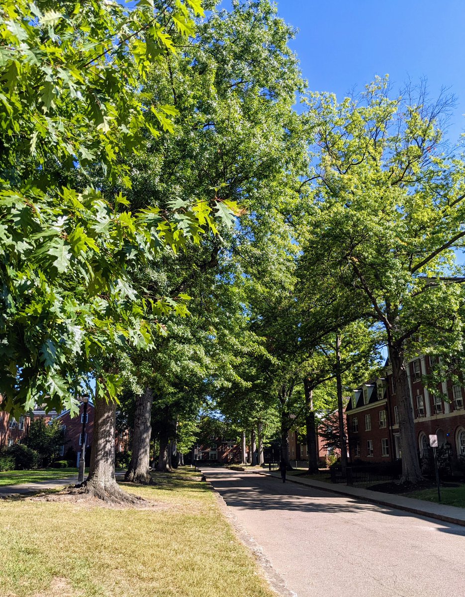 Meredith Barnett tweet media