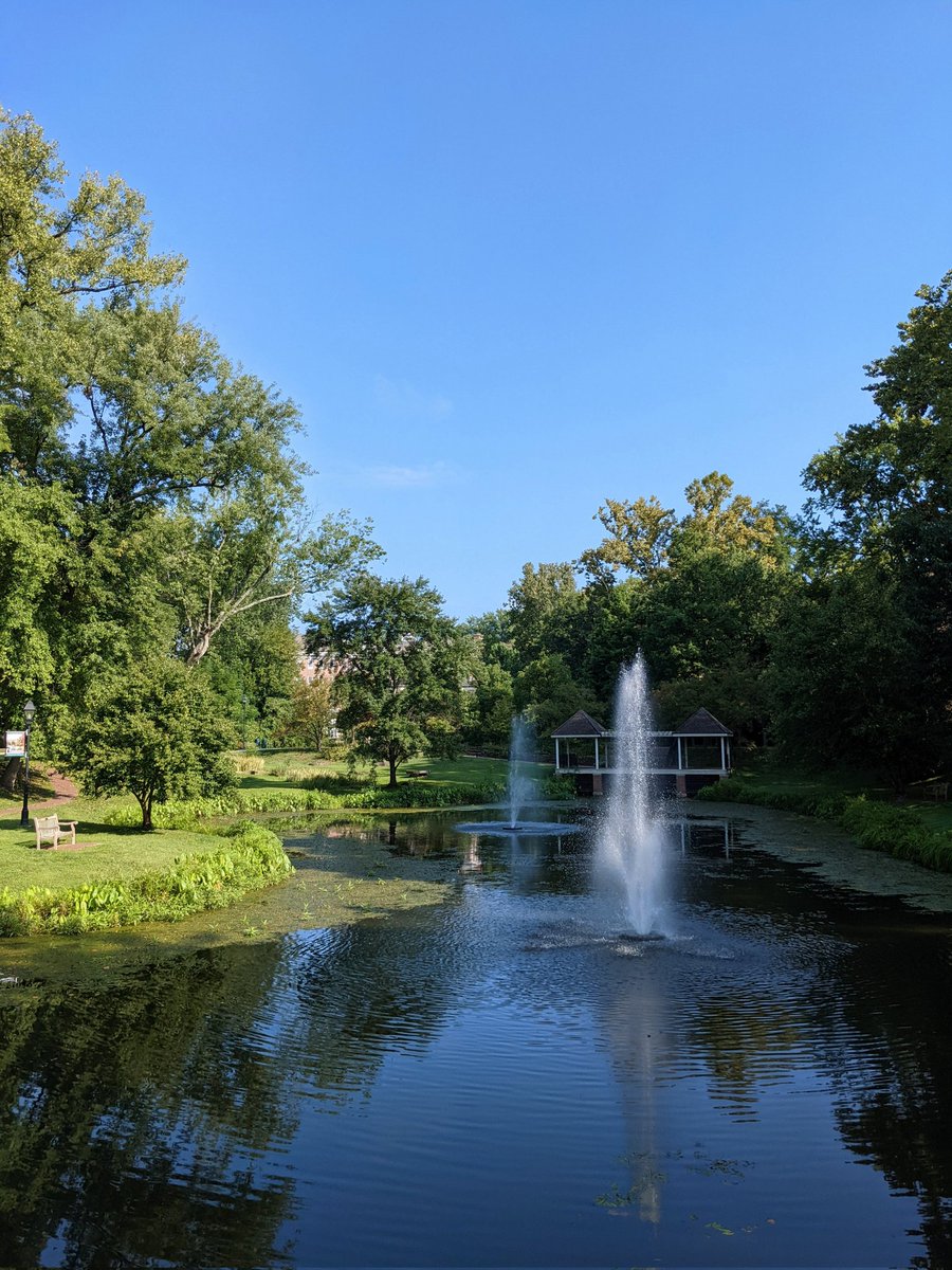 Meredith Barnett tweet media