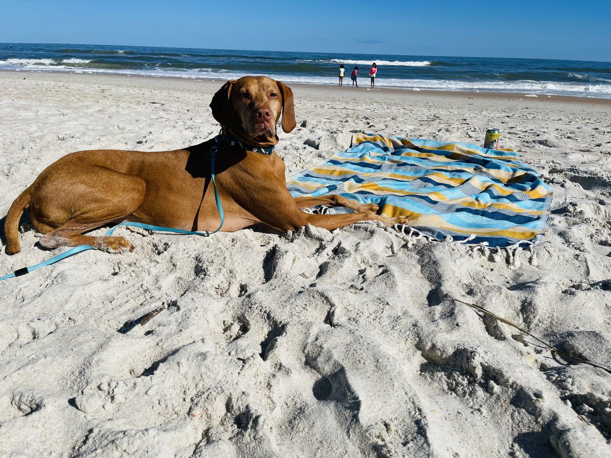 Erik Laessig tweet media