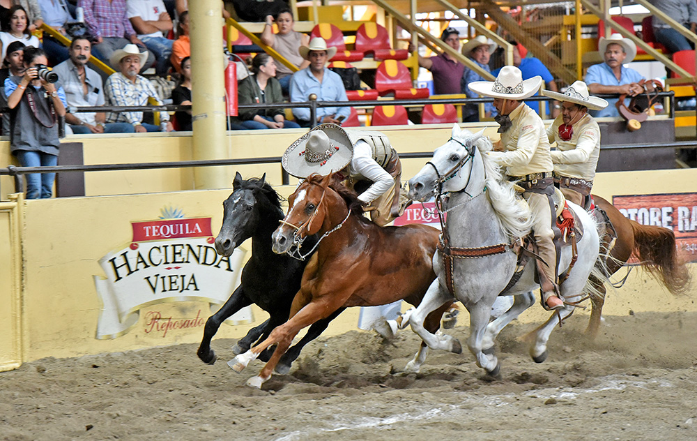 millonariothv's tweet photo. Rancho El Laurel pone alto el listón en la categoría “AA” del #CampeonatoMillonarioTHV

https://t.co/GeuGyE85Uv https://t.co/PWXP8DCfuJ