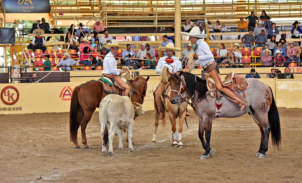 millonariothv's tweet photo. Rancho El Laurel pone alto el listón en la categoría “AA” del #CampeonatoMillonarioTHV

https://t.co/GeuGyE85Uv https://t.co/PWXP8DCfuJ
