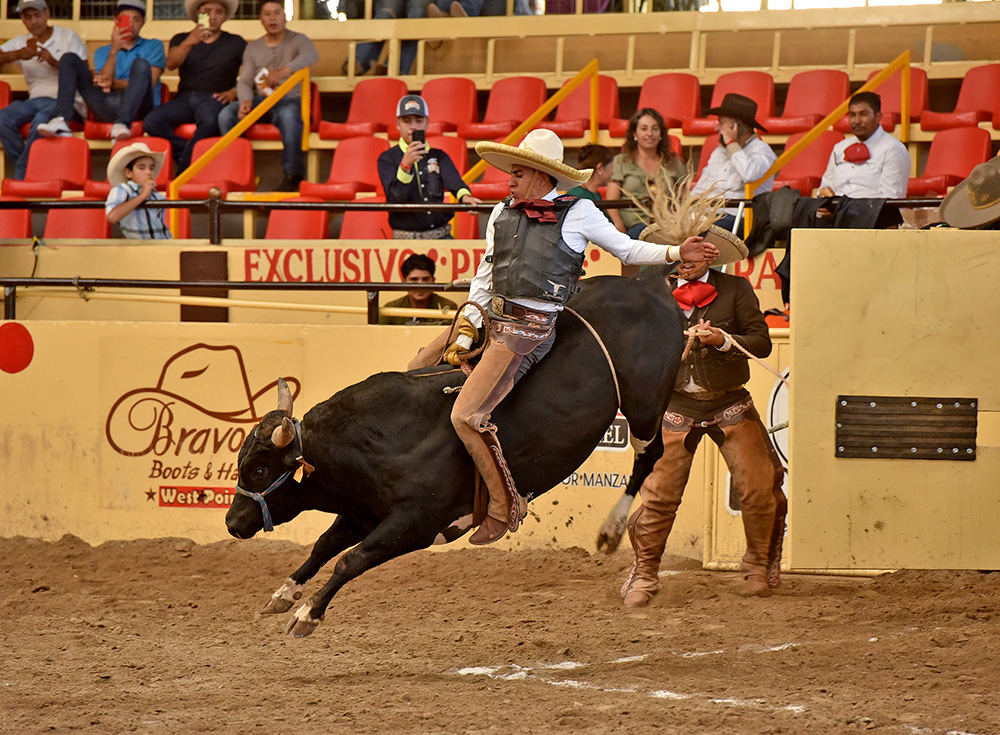 millonariothv's tweet photo. Rancho El Laurel pone alto el listón en la categoría “AA” del #CampeonatoMillonarioTHV

https://t.co/GeuGyE85Uv https://t.co/PWXP8DCfuJ
