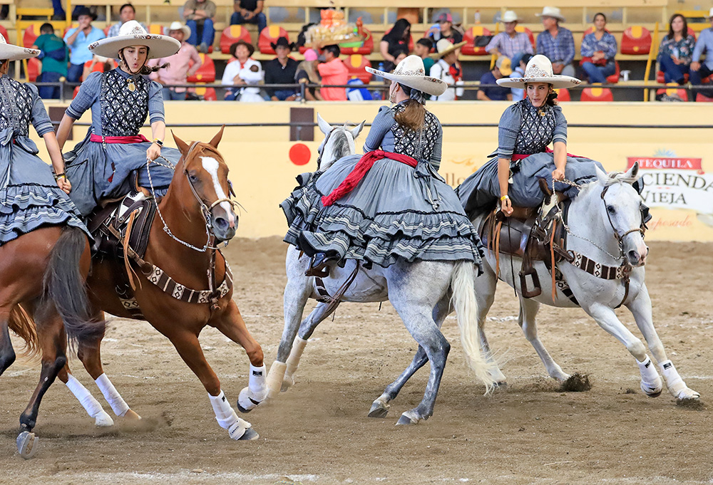 millonariothv's tweet photo. Rancho El Laurel pone alto el listón en la categoría “AA” del #CampeonatoMillonarioTHV

https://t.co/GeuGyE85Uv https://t.co/PWXP8DCfuJ