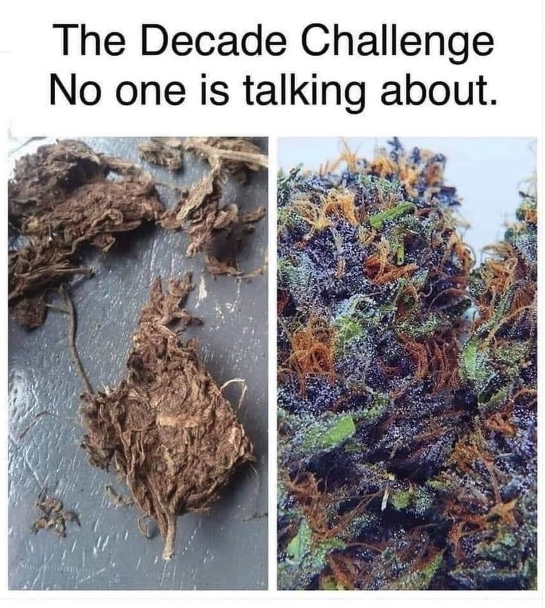 Leafly's tweet photo. We've come a long way, baby. https://t.co/LcDoGVn2g2 https://t.co/rDDSGSlOBX