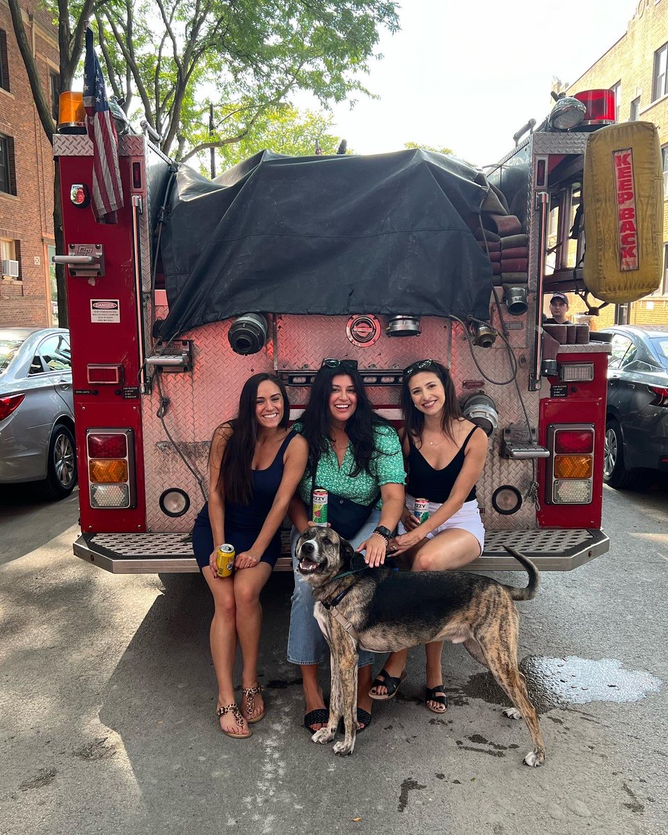 Violeta Podrumedic tweet media