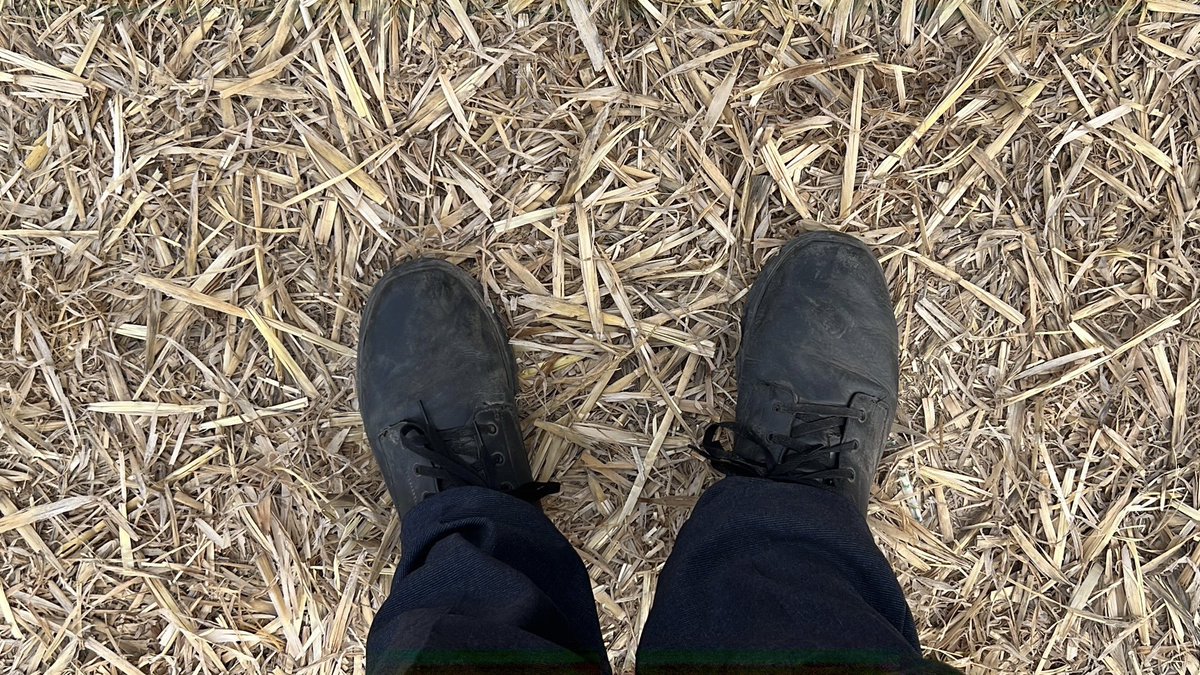 A nice couple of days assisting with Steam Fair services, including in <a href="/DAMORYCOACHES/">Damory Coaches</a>’s latest acquisition 1510.

Shoes will certainly need a polish though!