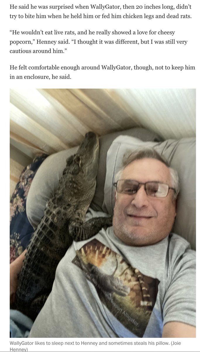 Richard Hanania on Twitter "Guy with "emotional support alligator