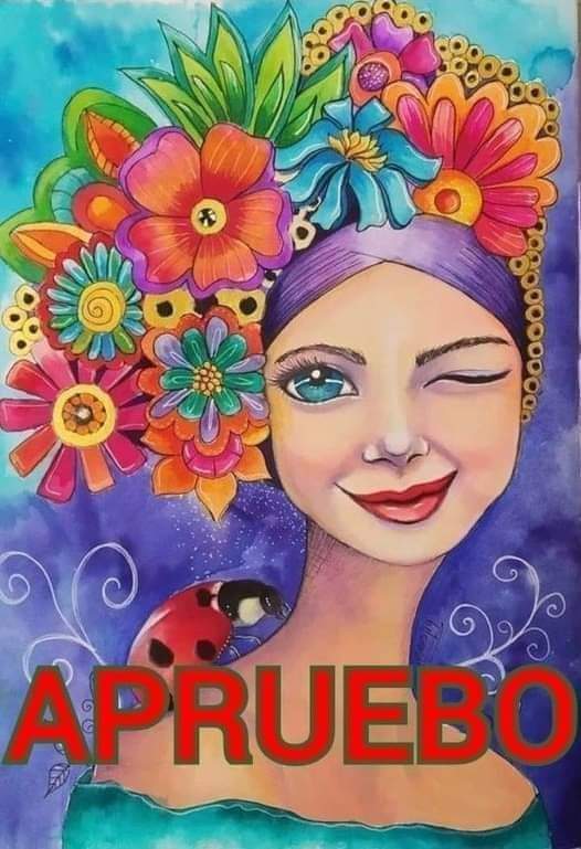firejuanbulnes's tweet photo. @Enrique53904974 Puro #apruebo no más y con eso los dejamos cagados de la cabeza como este Weon por esto #aprobare https://t.co/q83DCL0LPf