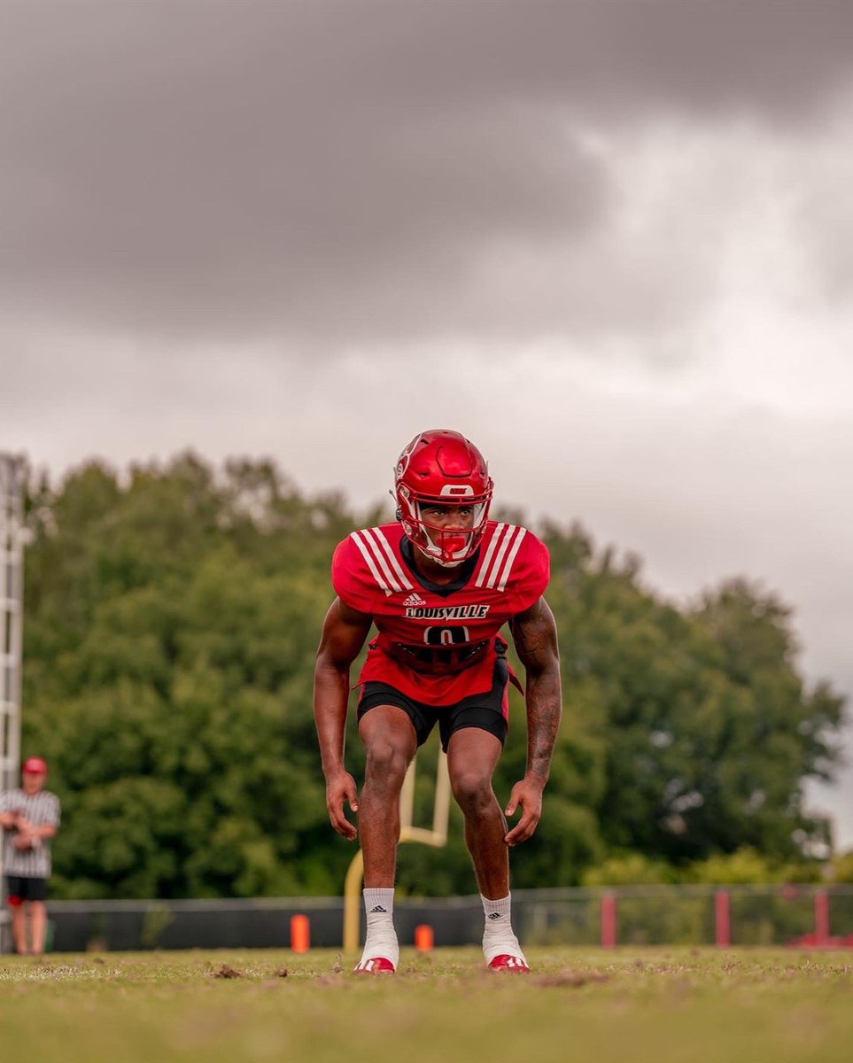 Coming back for everything! Year 2