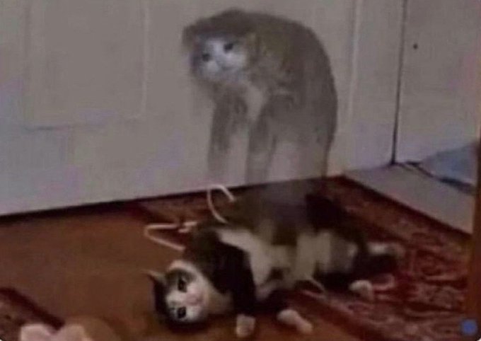 Gle que lê uns livros🍂 tweet media