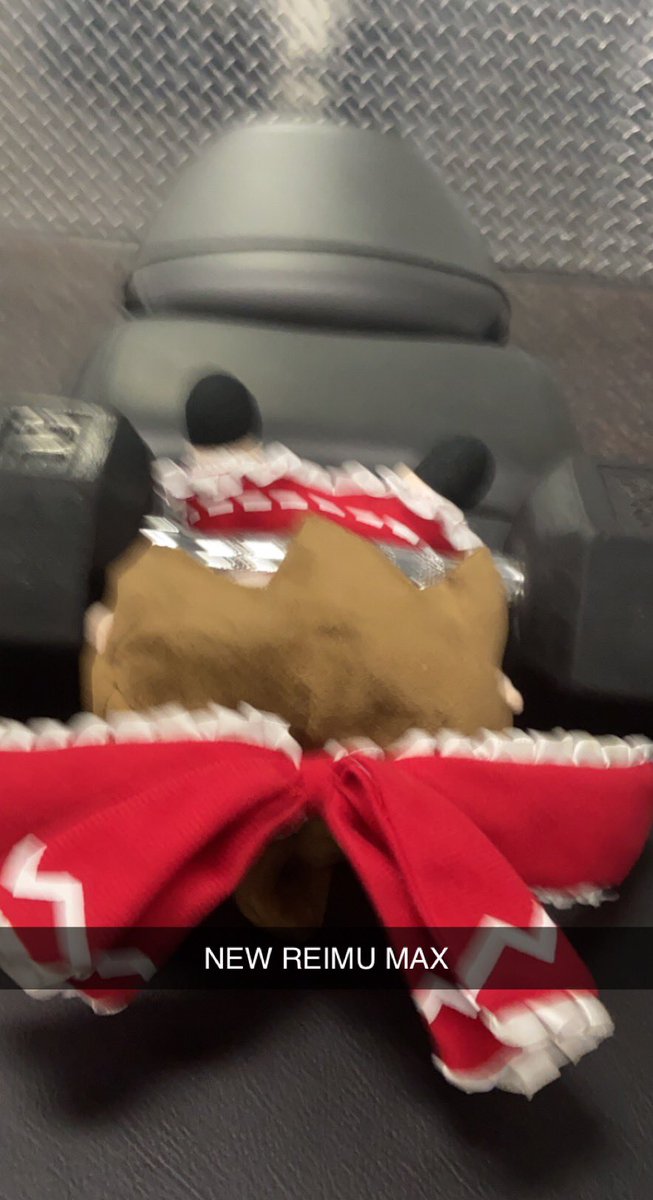 GymWithReimu's tweet image. One more month until our one-year anniversary at the gym /w Reimu