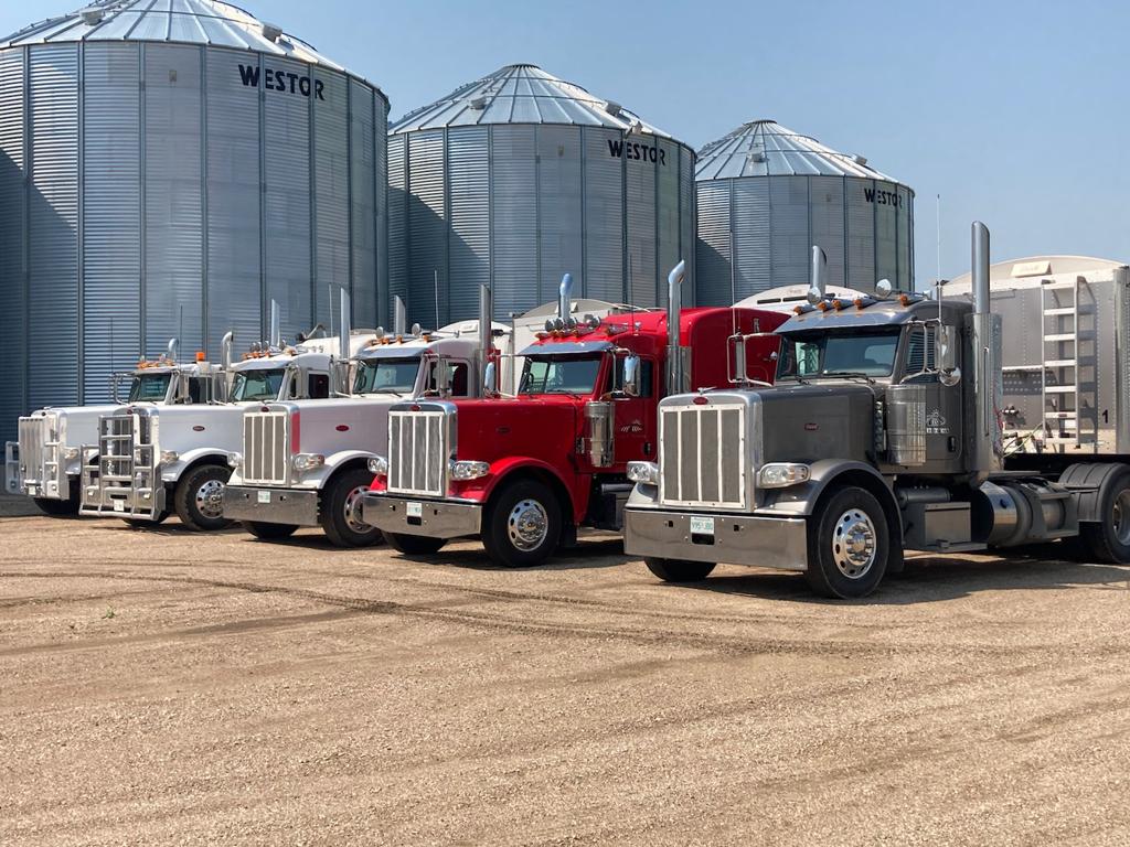 A member of our team has unexpectedly fallen ill. In search of truck driver or combine operator. We run a new, well maintained fleet of equipment - growing great crops and have a fantastic group bringing the harvest in. Join in the fun - head to our website and send a resume.
