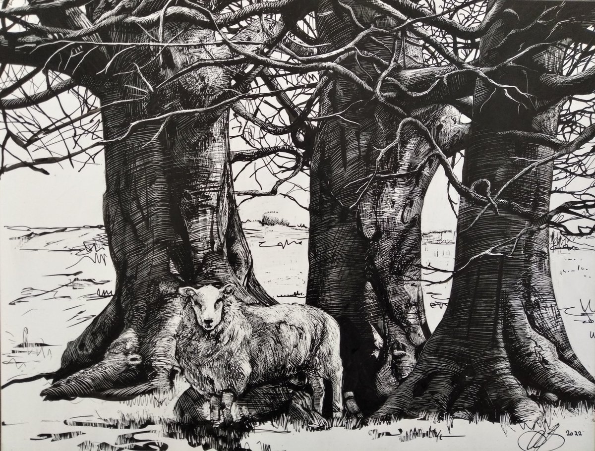 #drawingaugust days 26-29... This is the drawing I was working on during our #HampshireOpenStudios at #SherborneStJohn. 

It's called 'Guard Duty'.

#MonochromeMonday #monochrome #inkdrawing #treedrawing #sheepdrawing #baa
#hillfort #ladlehill #kingsclereartist #Hampshireartist