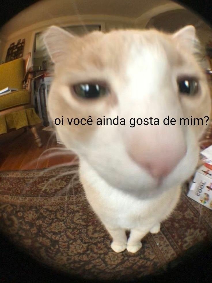 Visnxx's tweet photo. ainda gosta de mi? https://t.co/YLVCjUnBdq