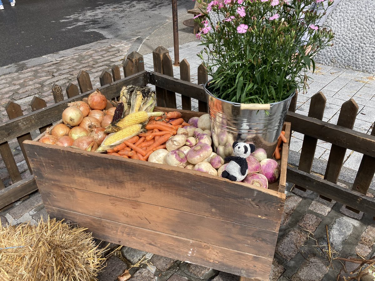 Adventure_Gauss's tweet photo. On Saturday I got to go to the 18th century market! I met a friendly water animal that was taking care of a treasure chest. Then I got to write my name. I forgot to write some math equations too, that would have been fun. @PointeaCalliere #PointeACalliere #ChateauRamezay https://t.co/bXkXW8bxef