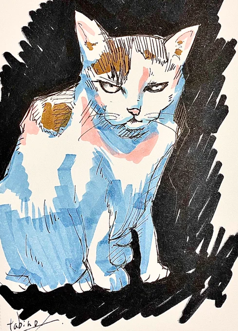 早朝スケッチ。#猫 #動物イラスト #スケッチ #絵描きさんと繋がりたい 