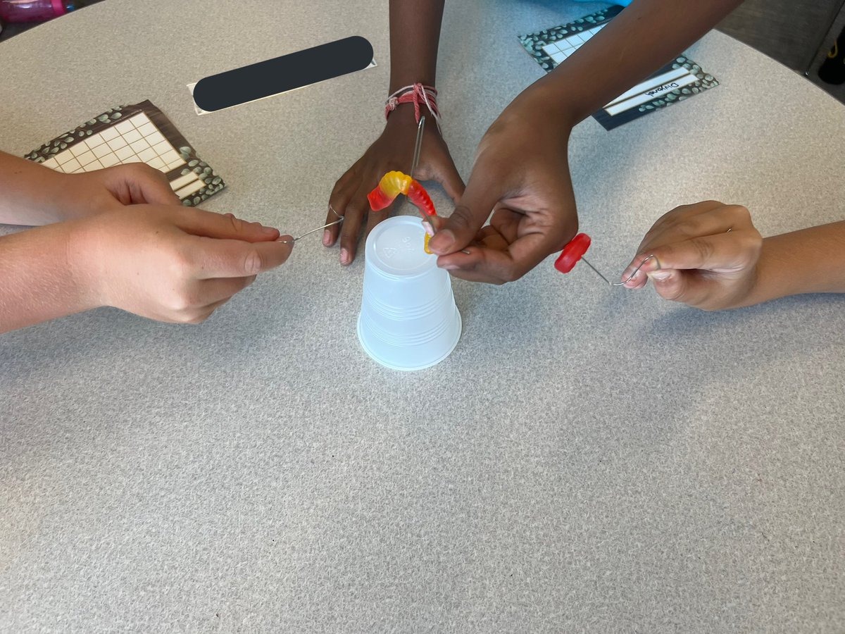 MissWakefieldNC's tweet photo. Day #1 teaching in the 🇺🇸 ✅. We had lots of fun getting to know each other and learning our new routines. We spent the afternoon working on our Teamwork trying to save Fred the gummy worm. @BuckhornCreekES @ParticipateLrng https://t.co/C15XFHLAcD