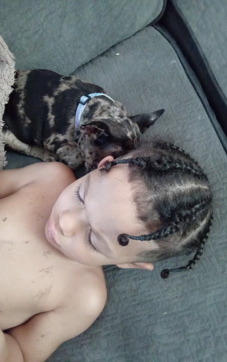 SDeutrell's tweet photo. MY SON DEdRICK N JELLY🍇
#Aboyandhisdog  #Newmoneykennels https://t.co/hhIICMov4N