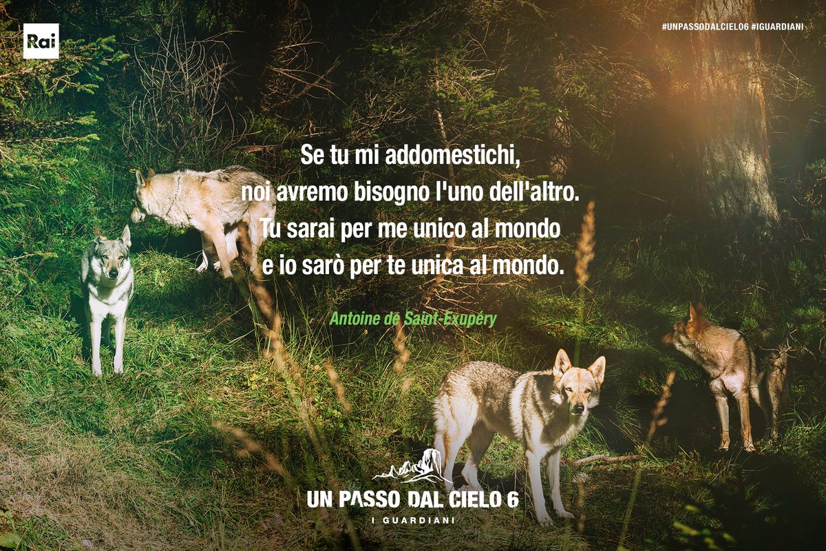 passodalcielo8's tweet photo. Qualcosa di nuovo sta per cominciare... 🎬 ☝️😉
Ma nel frattempo, rivediamo le meravigliosi frasi di #UnPassoDalCielo6 #IGuardiani! 🐺🍃 😍
Tutti gli episodi vi aspettano in ogni momento su @RaiPlay! 💚
#UPDC6 #LeFrasiPiùBelle https://t.co/jID9hyo5Nh