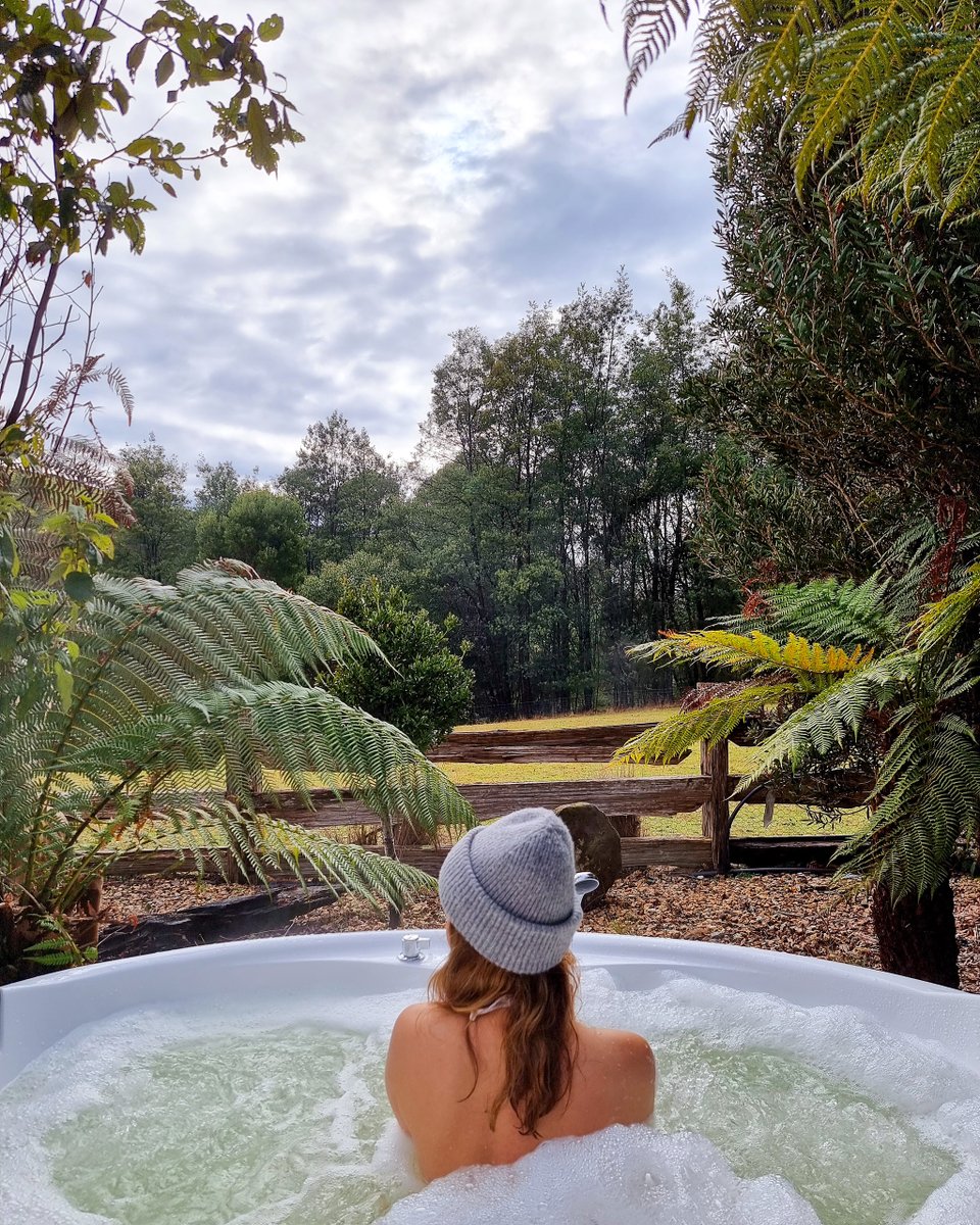 TinDTC's tweet photo. Imagine waking up to this! 

#discovertasmania #tindragoncottages #northeasttasmania https://t.co/Yt462vm6k7