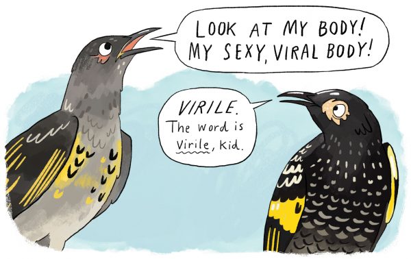 Kate Evans tweet media