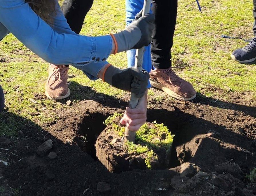 TomasMarisco's tweet photo. 29 de Agosto, DÍA DEL ÁRBOL.- Como debe ser estuvimos forestando con 247 ejemplares el Parque de Mayo. El 2022 va a ser un año de una forestación intensa por toda la ciudad, para seguir generando pulmones verdes, sombra y embellecimiento de los espacios públicos @GestUrbanaBahia https://t.co/9ZnI7Ej3xR