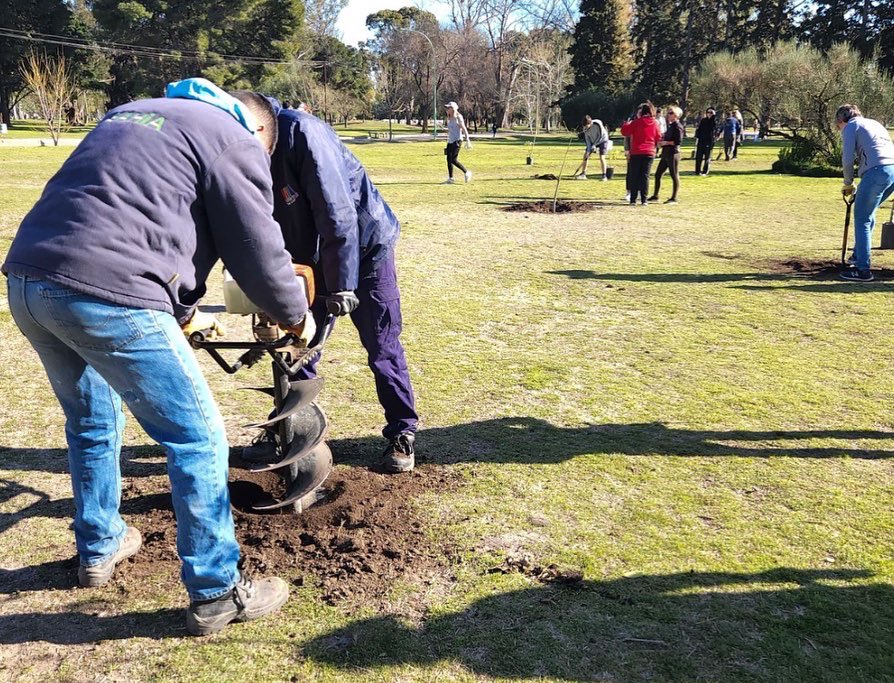 TomasMarisco's tweet photo. 29 de Agosto, DÍA DEL ÁRBOL.- Como debe ser estuvimos forestando con 247 ejemplares el Parque de Mayo. El 2022 va a ser un año de una forestación intensa por toda la ciudad, para seguir generando pulmones verdes, sombra y embellecimiento de los espacios públicos @GestUrbanaBahia https://t.co/9ZnI7Ej3xR