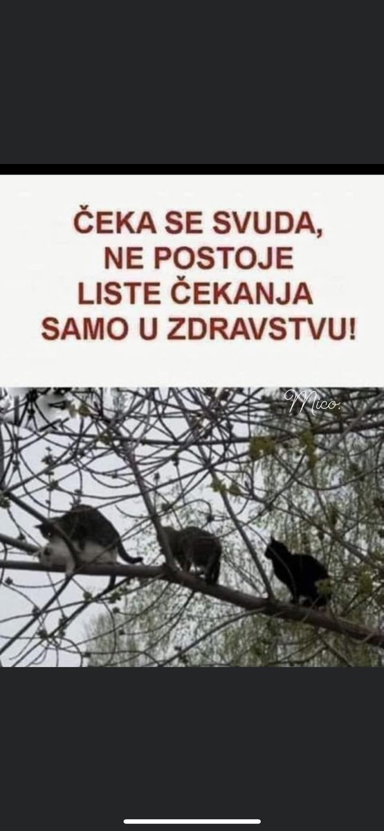 Alan (@nero32889407) on Twitter photo 