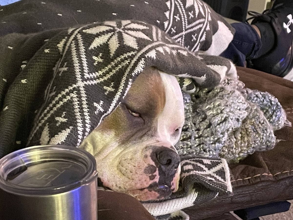 micki_moss's tweet photo. @dog_rates @Trupanion Always lots of snuggles with our girl. https://t.co/TpO6W2rwY5