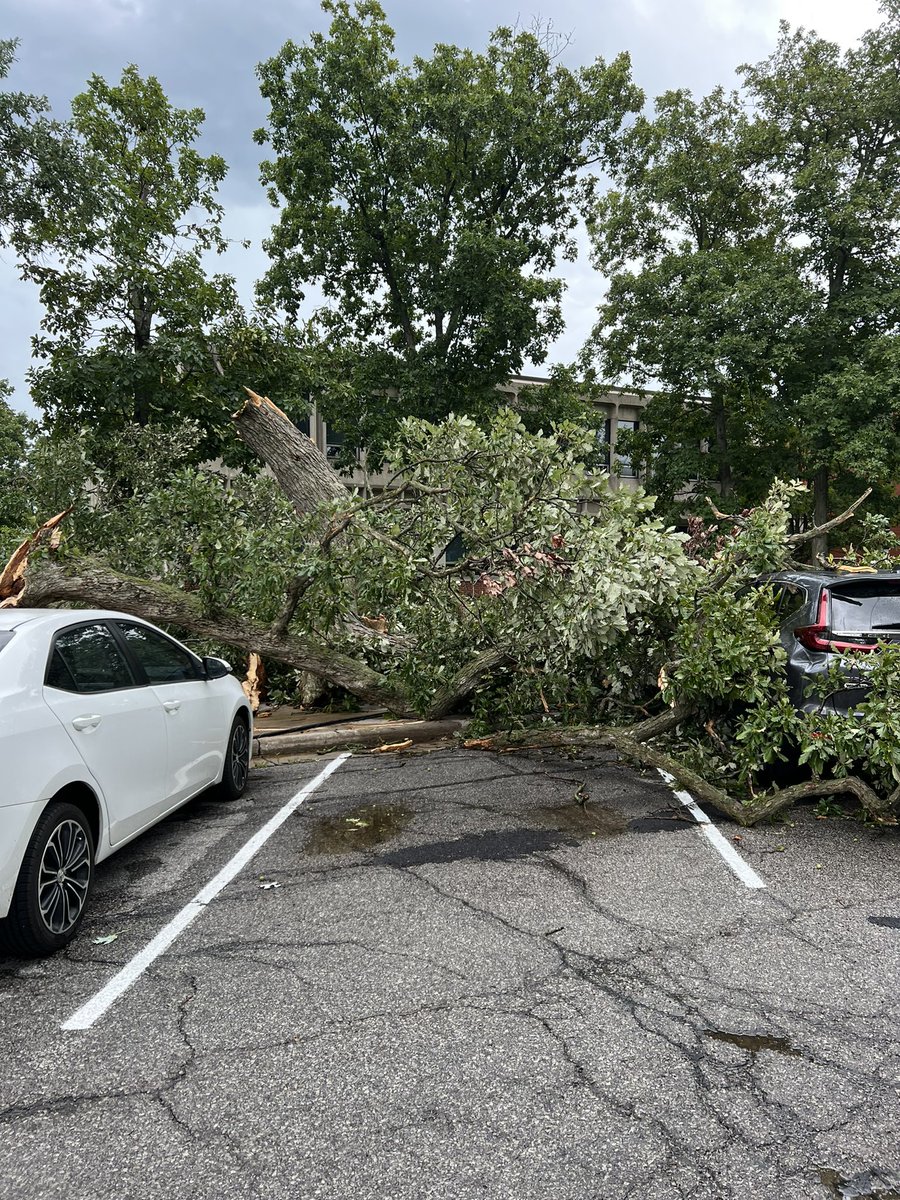 LowellHamrick's tweet photo. @NWSIWX Defiance Ohio North Clinton at Sessions Street. 6 foot tree snapped off and into power lines. Appears to be from wind damage. https://t.co/Gc16ng6GK0