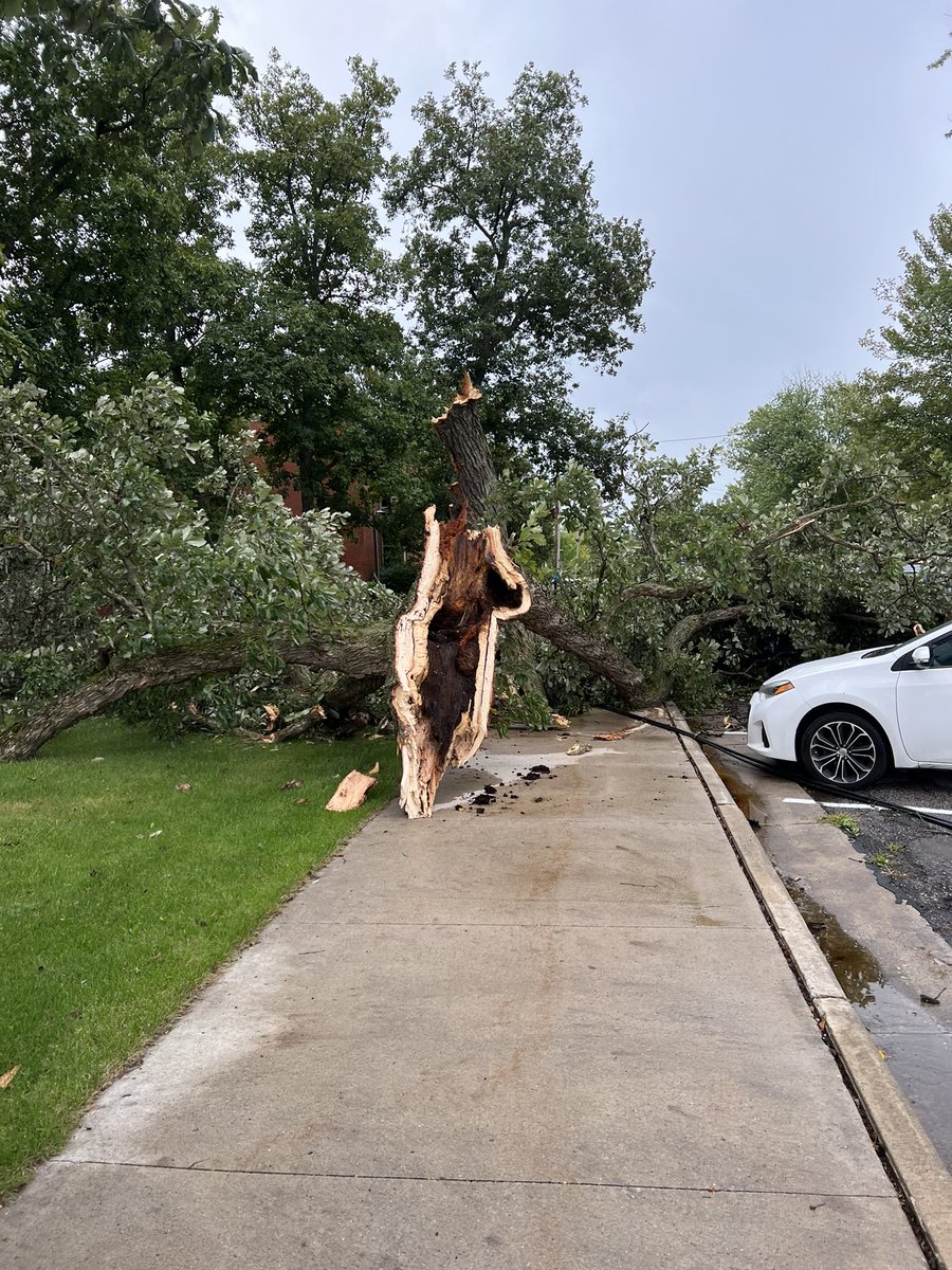 LowellHamrick's tweet photo. @NWSIWX Defiance Ohio North Clinton at Sessions Street. 6 foot tree snapped off and into power lines. Appears to be from wind damage. https://t.co/Gc16ng6GK0