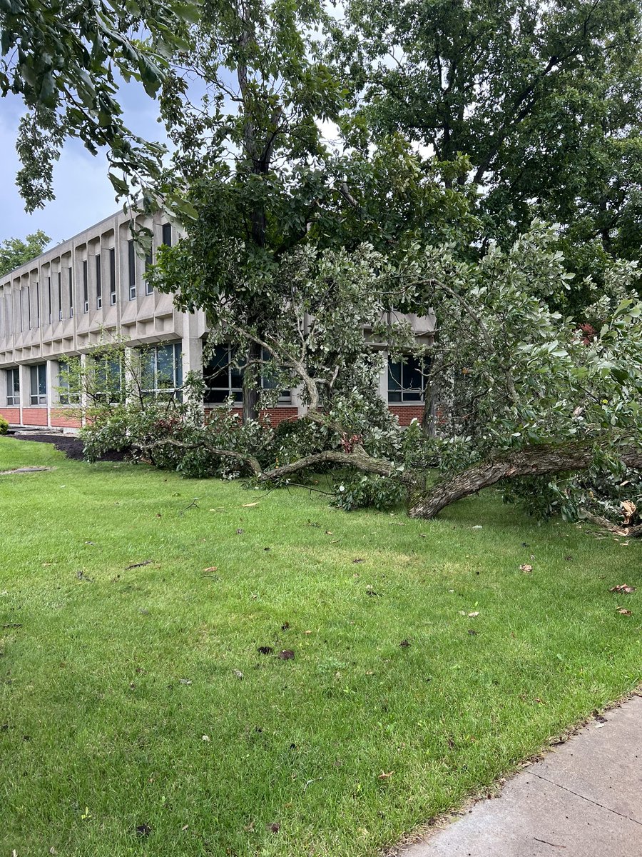 LowellHamrick's tweet photo. @NWSIWX Defiance Ohio North Clinton at Sessions Street. 6 foot tree snapped off and into power lines. Appears to be from wind damage. https://t.co/Gc16ng6GK0