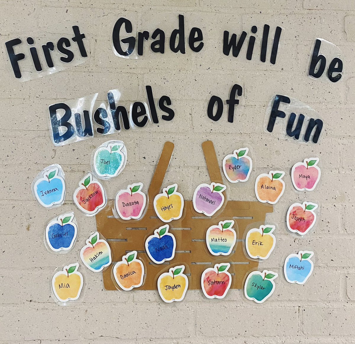 Caitlin O'Connor tweet media