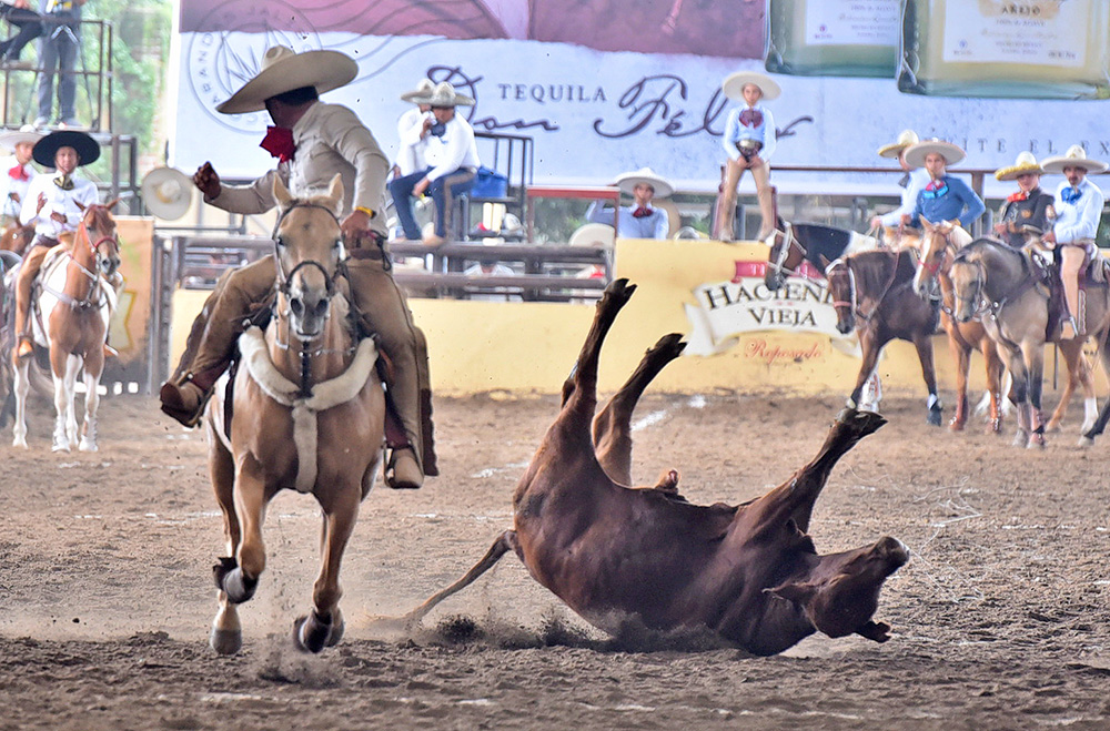 millonariothv's tweet photo. Regionales de Texcoco se llevan la primera eliminatoria categoría "AA" del #CampeonatoMillonario

· La victoria de los mexiquenses fue con 241 puntos, ante 239 de Hermanos Valenzuela y 168 de Tequila Real de México

https://t.co/GzgAi0SkdR https://t.co/mzpht4vhNz
