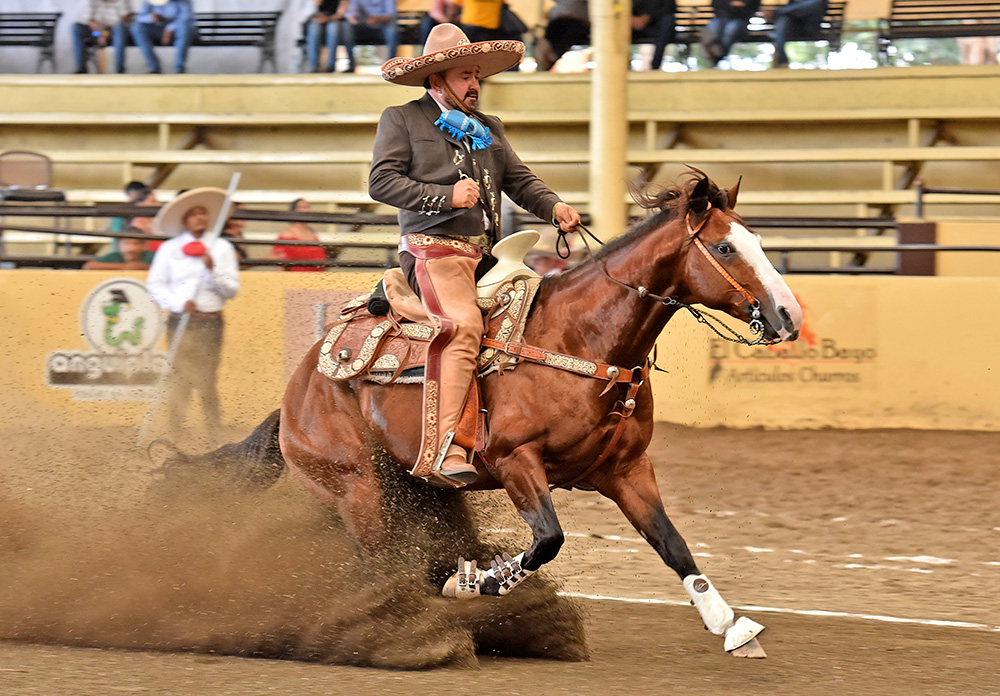 millonariothv's tweet photo. Regionales de Texcoco se llevan la primera eliminatoria categoría "AA" del #CampeonatoMillonario

· La victoria de los mexiquenses fue con 241 puntos, ante 239 de Hermanos Valenzuela y 168 de Tequila Real de México

https://t.co/GzgAi0SkdR https://t.co/mzpht4vhNz
