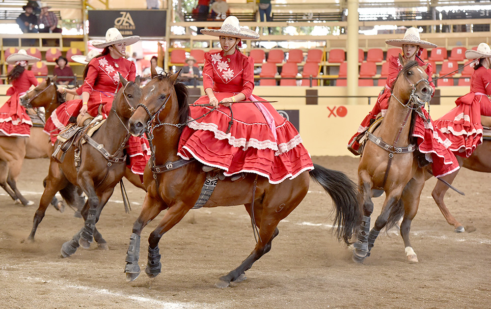 millonariothv's tweet photo. Regionales de Texcoco se llevan la primera eliminatoria categoría "AA" del #CampeonatoMillonario

· La victoria de los mexiquenses fue con 241 puntos, ante 239 de Hermanos Valenzuela y 168 de Tequila Real de México

https://t.co/GzgAi0SkdR https://t.co/mzpht4vhNz