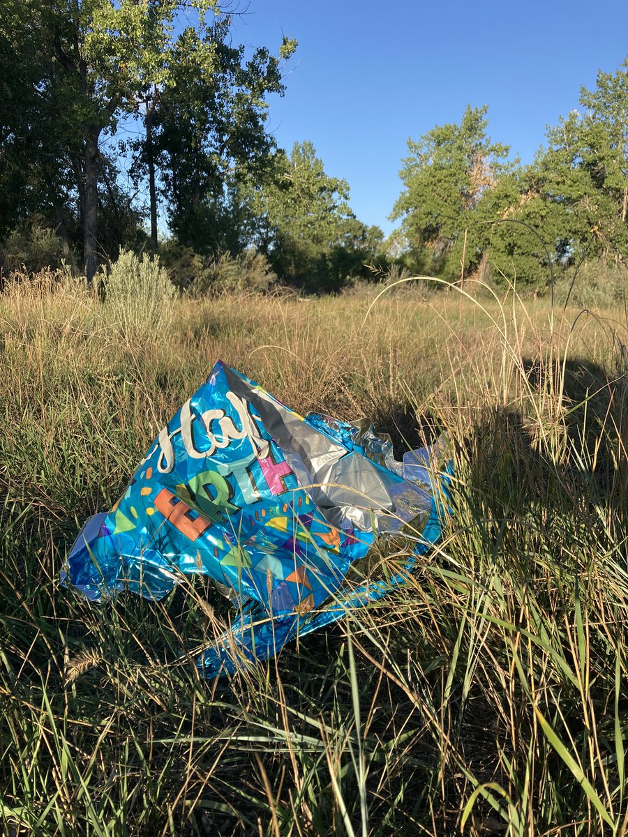 RangerSSPRD's tweet photo. What goes up must come down…
Rangers collect dozens of balloons in our parks each year. It might seem like a fun way to celebrate, but releasing balloons is littering and bad for wildlife. 😢👎🏻 #leavenotrace #keepparksclean https://t.co/QUrIFkg0Jx