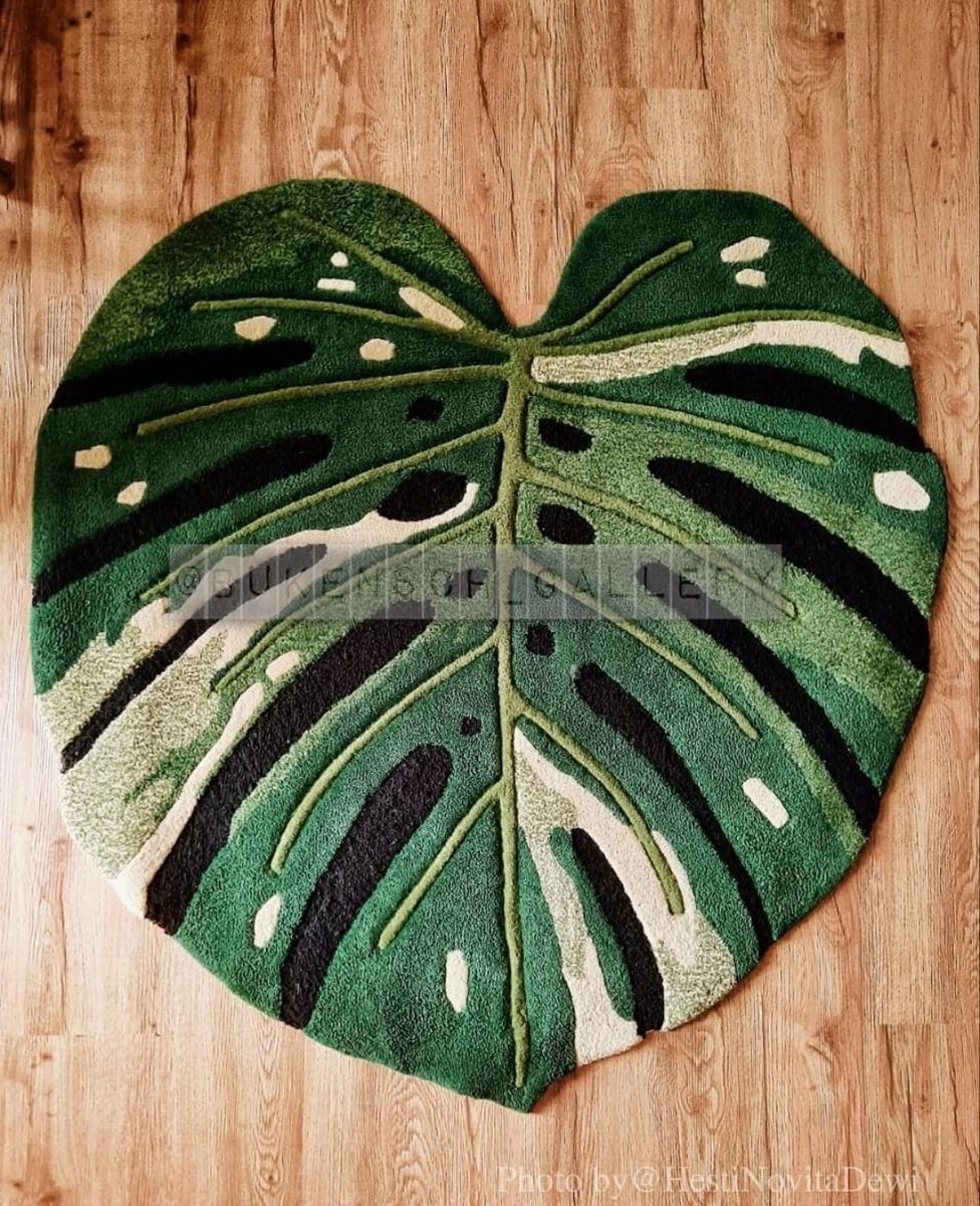 Houseplant Hobbyist on Twitter: 