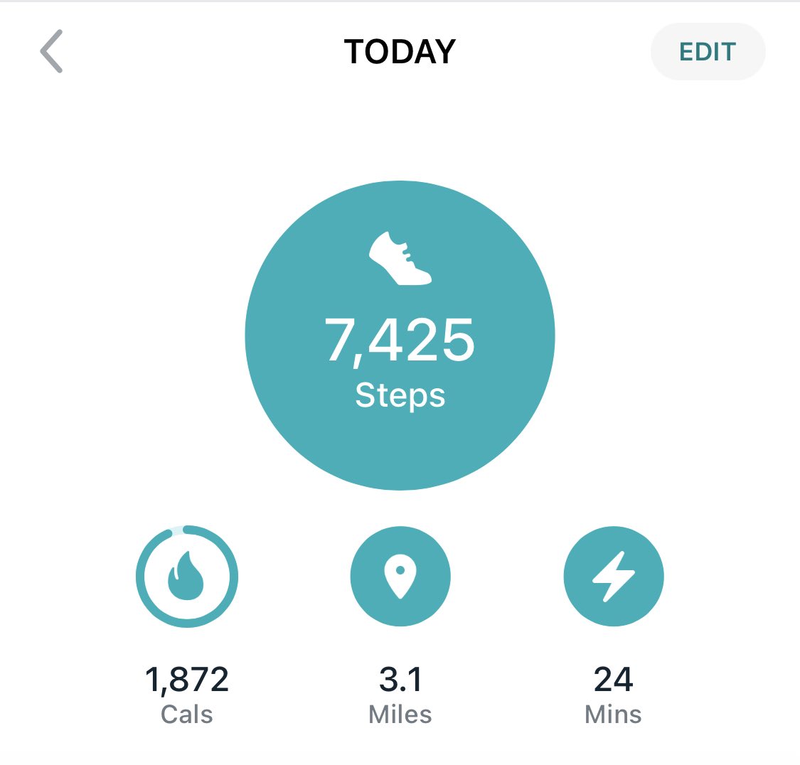 TEdwards_Nurse's tweet photo. @WeNurses not a bad step count for me today… spent the morning out in the fresh air with the family 🥰 https://t.co/FcgqBCfuA4