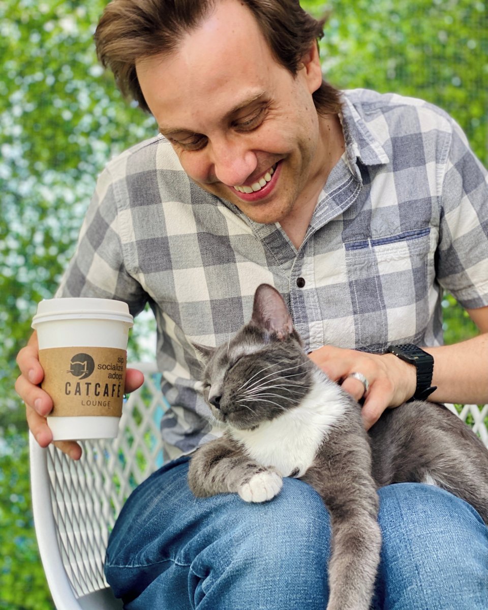 CatCafe Lounge tweet media