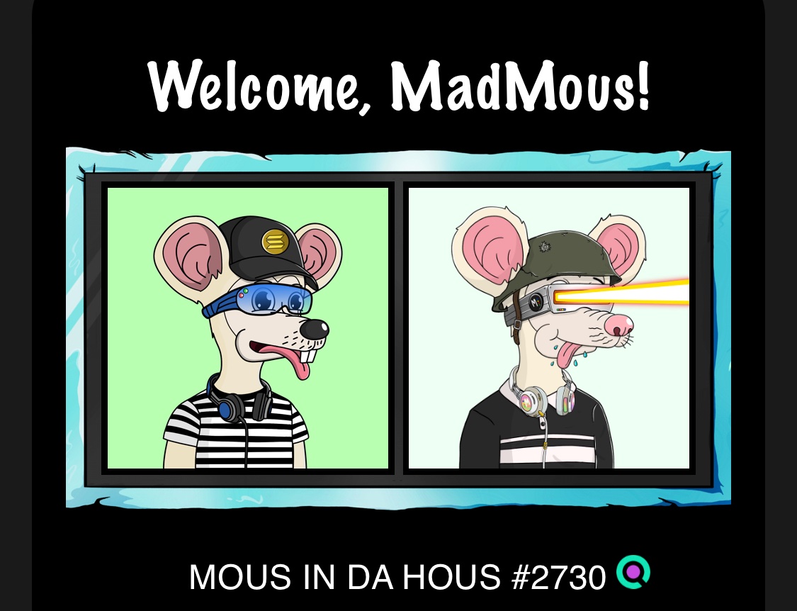 Nfttrends11's tweet photo. If your mous isn’t on this mad mous shit what are you really doing!!!! @MousInDaHous @keepitcrizzy @emploiceSOL @BlueGator_sol #mousindahous
#madmous https://t.co/BN0qK85tzZ