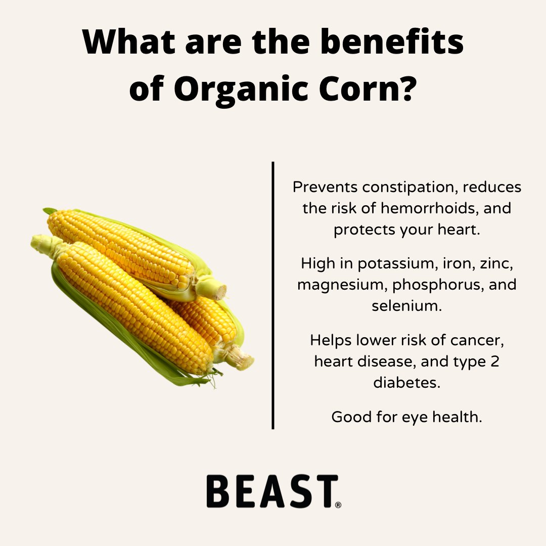 beasthealth's tweet photo. It's corn, a big lump with knobs. It has the juice! π½
#cornkid #corn #corntasticday #veggie #Vegetables https://t.co/x42kbzydxo