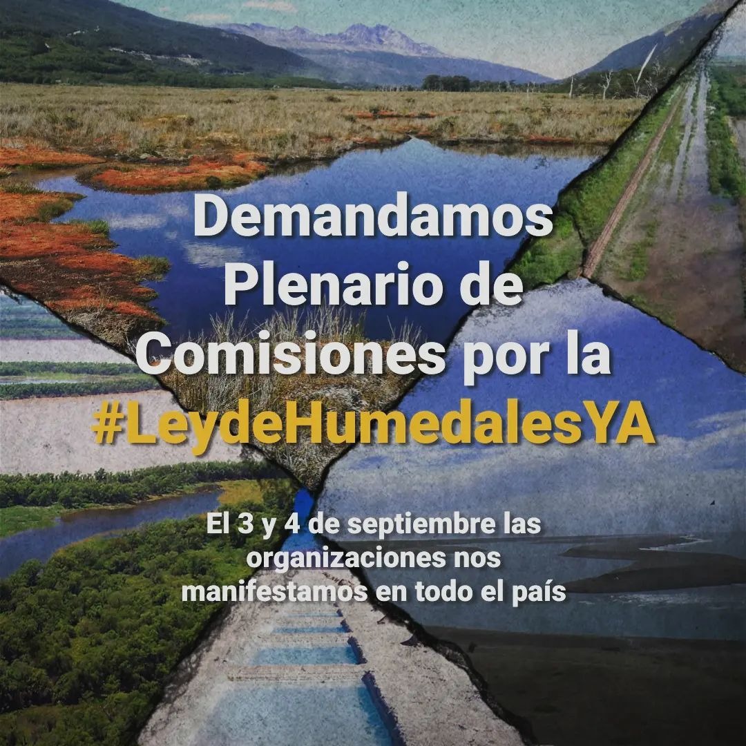 Cuenca En Red tweet media