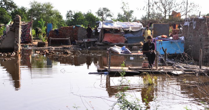 GlobalNational's tweet photo. Canada announces $5M in funding to support Pakistan amid flood disaster https://t.co/mmhSpBE97W https://t.co/gSCuB4FEug