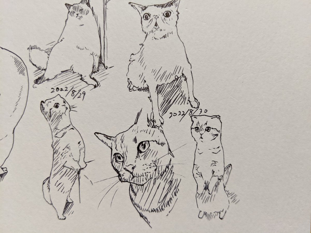 8月が…おわる… 