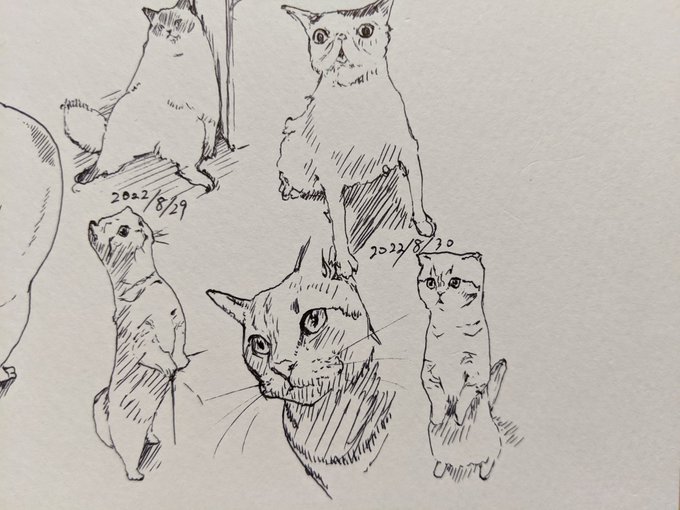 8月が…おわる… 