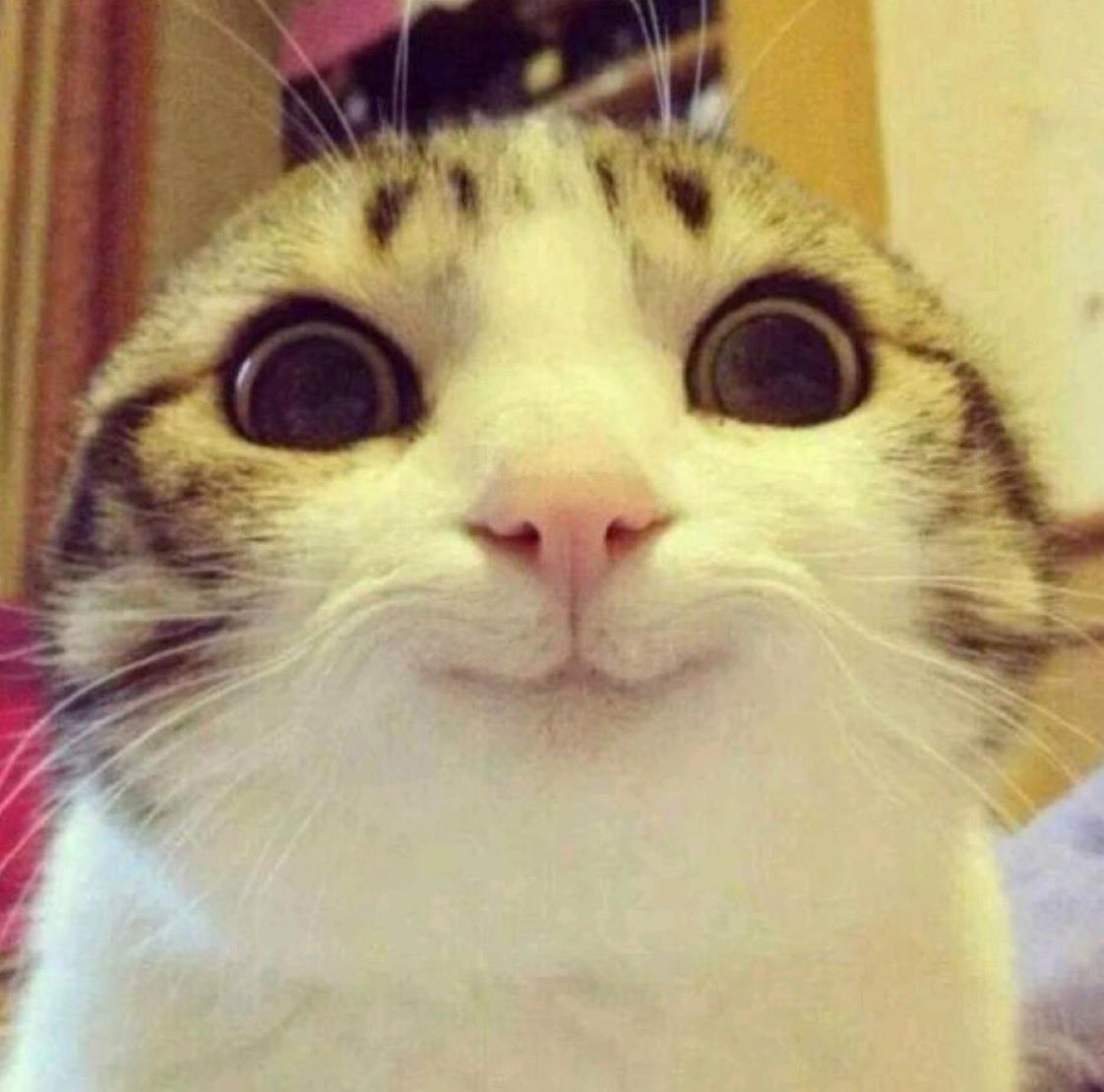 itsnotjazminn's tweet photo. me when he gives me reassurance every time i overthink https://t.co/bbF0jpn5IF