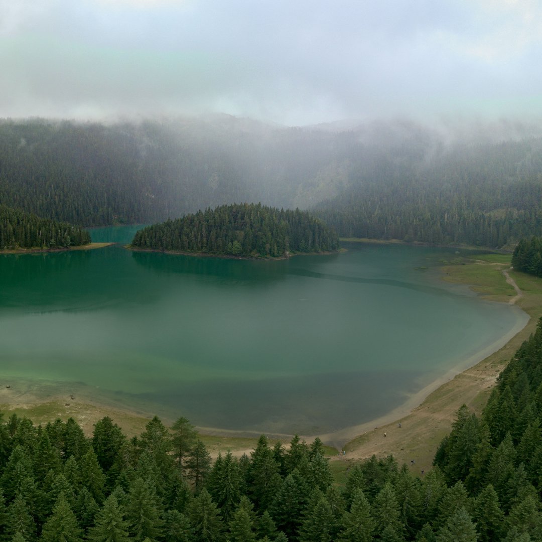 PoesiasFlutuam's tweet photo. Lugares que inspiram poesias...
- Parque Nacional Monte Durmitor - Montenegro
#parque #parquenacional #MontDurmitor #Durmitor #MonteDurmitor #Montenegro #natureza #nature #naturezaemfoco #naturephotography #place #natureplace #naturelovers #naturelover #naturephoto https://t.co/FlEEJa2JLX