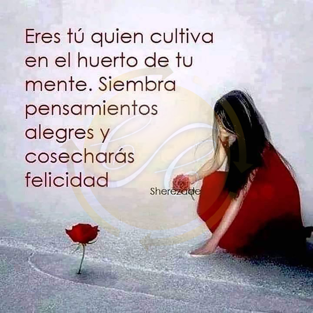 ClaudioCarCoach's tweet photo. #desarrolloemocional #coachingemocional #coachingespiritual #emociones #inteligenciaemocional #motivación #desarrollopersonal #psicometria #coaching #recursoshumanos #liderazgo #love #amor #coachingejecutivo #coachingintegral #coach #coachingdecarrera #coachingorganizacional https://t.co/fBjkGYtFAr