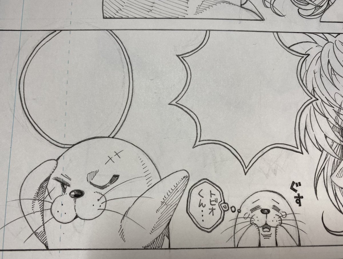 今日のアザラシです🦭 